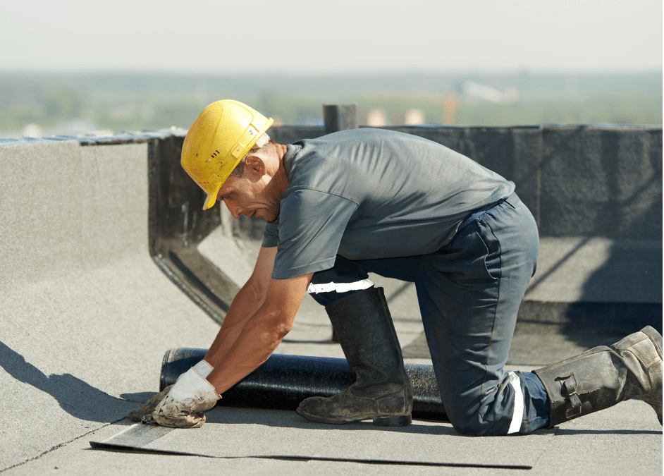What To Do if Your Commercial Roof Starts Leaking