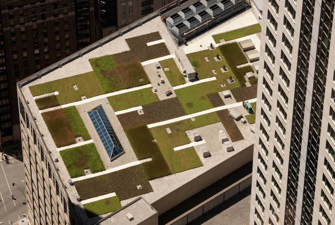 The Green Roofs Revolution